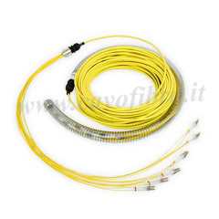 fagioli anteprima Incubo fibra ottica monomodale o multimodale amazon mescolare
